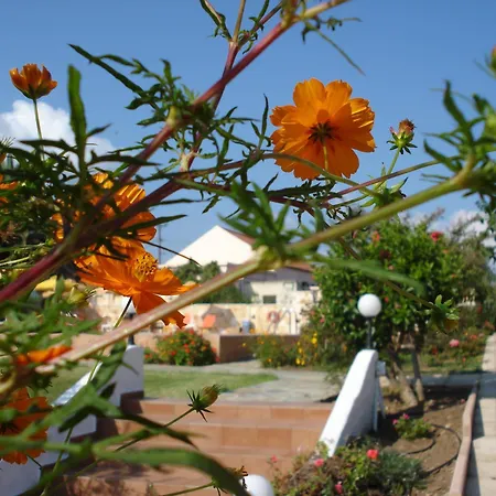 Androulakis * Gerani (Chania)