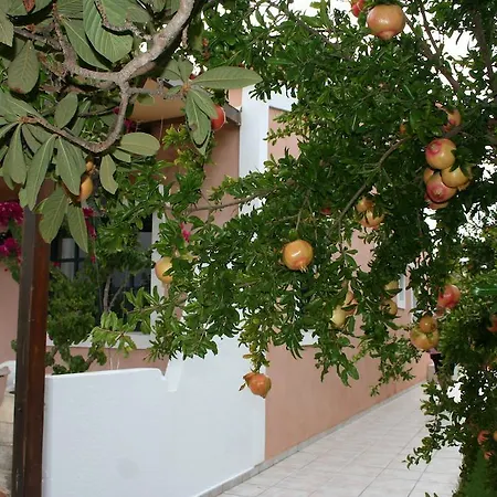 Androulakis *
